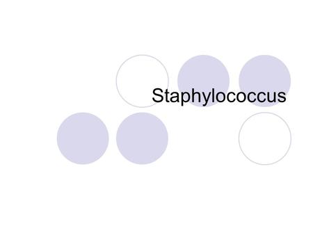 Staphylococcus. Staphylococceae family Low G + C Cocci (spheres) Grapelike clusters  3 planes  1 micrometer diameter FA Nonmotile, NSF Halotoerant Catalase.