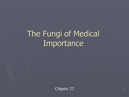 The Fungi of Medical Importance