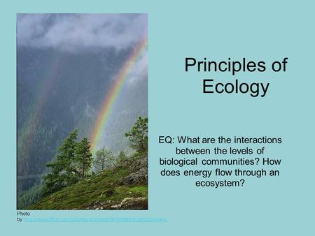 Principles of Ecology EQ: What are the interactions between the levels of biological communities? How does energy flow through an ecosystem? Photo by