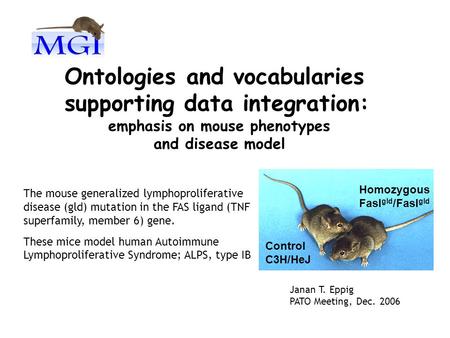Ontologies and vocabularies supporting data integration: emphasis on mouse phenotypes and disease model Control C3H/HeJ Homozygous Fasl gld /Fasl gld The.