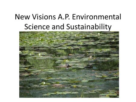 New Visions A.P. Environmental Science and Sustainability.
