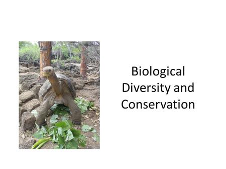 Biological Diversity and Conservation. What is Biodiversity? The variety of life in an area that is determined by the number of different species in that.