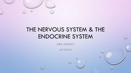 The Nervous system & the endocrine system