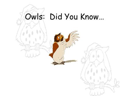 Owls: Did You Know….