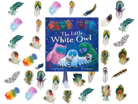 Vocabulary “The Little White Owl”