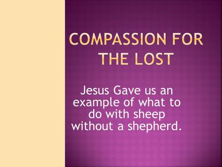 Jesus Gave us an example of what to do with sheep without a shepherd.