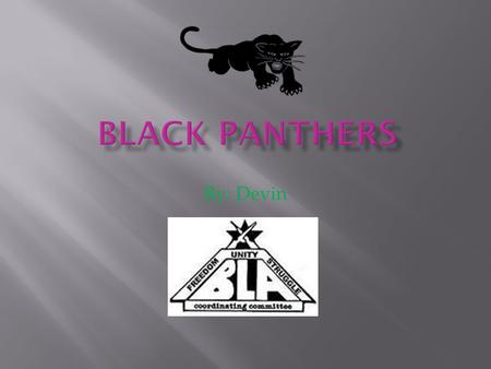 By: Devin.  The Black panther party was a U.S. militant party  They were founded by Huey Newton because he was inspired by Malcom X.