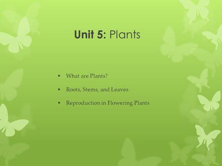 Unit 5: Plants What are Plants? Roots, Stems, and Leaves
