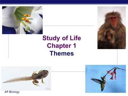 AP Biology 2007-2008 Study of Life Chapter 1 Themes.