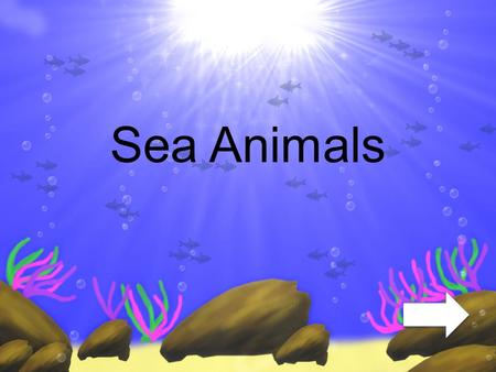 Sea Animals.