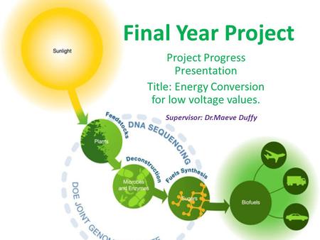 Final Year Project Project Progress Presentation Title: Energy Conversion for low voltage values. Supervisor: Dr.Maeve Duffy.