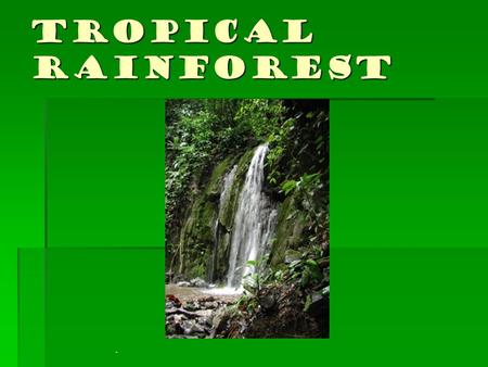 Tropical Rainforest.. EMERGENTS: Giant trees that are much higher than the average canopy height. It houses many birds and insects. CANOPY: The upper.