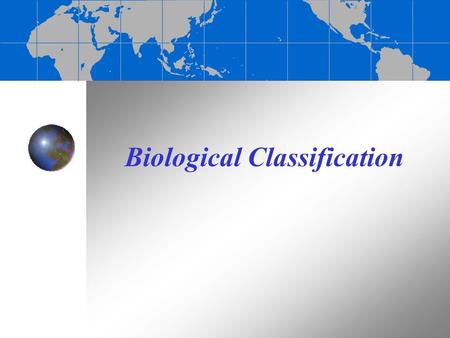 Biological Classification. The diversity of marine life The ocean is home to a wide variety of organisms Marine organisms range from microscopic bacteria.