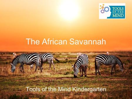 The African Savannah Tools of the Mind Kindergarten.