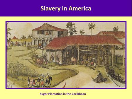 Slavery in America Sugar Plantation in the Caribbean.