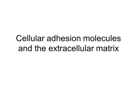 Cellular adhesion molecules and the extracellular matrix