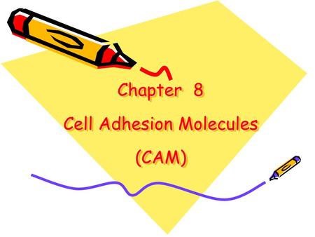 Chapter 8 Cell Adhesion Molecules (CAM)