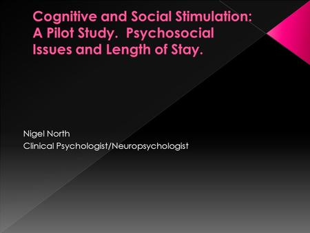 Cognitive and Social Stimulation: A Pilot Study