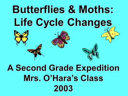 Butterflies & Moths: Life Cycle Changes A Second Grade Expedition Mrs. O’Hara’s Class 2003.