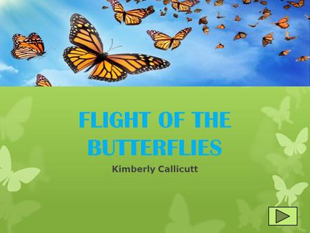 FLIGHT OF THE BUTTERFLIES Kimberly Callicutt.  Content Area: Science  Grade Level: 1st Grade  Summary: The students will learn the four different stages.
