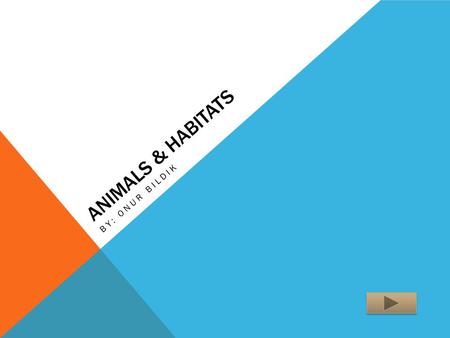 ANIMALS & HABITATS BY: ONUR BILDIK. TEACHER INFORMATION Science 2 nd Grade The purpose of this activity is to help students to identify animals. The student.