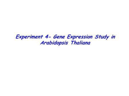 Experiment 4- Gene Expression Study in Arabidopsis Thaliana.