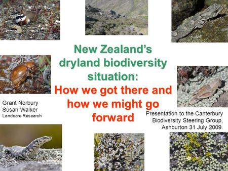 New Zealand’s dryland biodiversity situation: How we got there and how we might go forward Presentation to the Canterbury Biodiversity Steering Group,