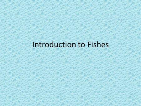 Introduction to Fishes