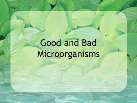 Good and Bad Microorganisms. Review What is the role of decomposers in the food chain? What are three different types of decomposers? VIDEO.
