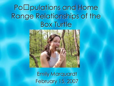 Populations and Home Range Relationships of the Box Turtle Emily Marquardt February 15, 2007 Emily Marquardt February 15, 2007.
