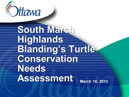 South March Highlands Blanding’s Turtle Conservation Needs Assessment March 18, 2013.