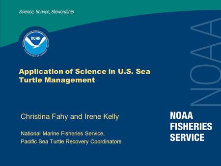 Application of Science in U.S. Sea Turtle Management