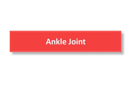 Ankle Joint.