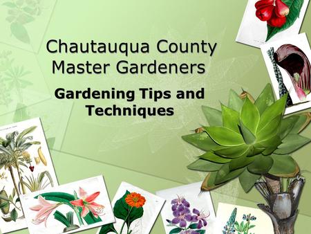 Chautauqua County Master Gardeners Gardening Tips and Techniques.