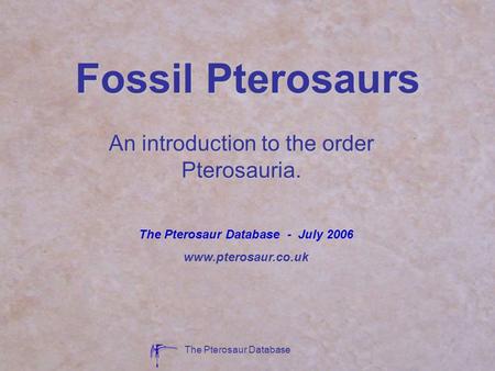 An introduction to the order Pterosauria.