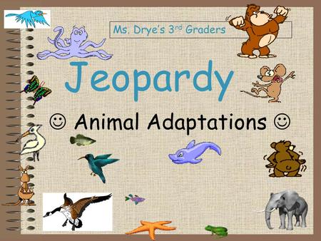 Jeopardy Animal Adaptations Ms. Drye’s 3 rd Graders.