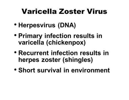 Varicella Zoster Virus Herpesvirus (DNA) Primary infection results in varicella (chickenpox) Recurrent infection results in herpes zoster (shingles) Short.