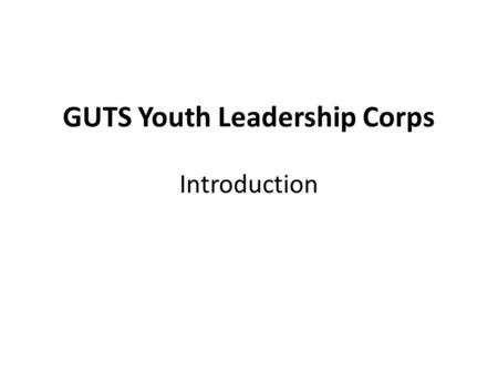 GUTS Youth Leadership Corps Introduction. Normal Mentoring Program Elementary School Middle School High School Adults GUTS Clubs Girl Scouts Girls Inc.