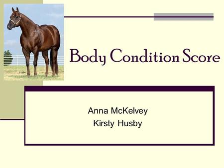 Body Condition Score Anna McKelvey Kirsty Husby. Henneke Body Condition Score Measures amount of body fat Determines balance between energy intake & expenditure.