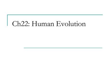 Ch22: Human Evolution.