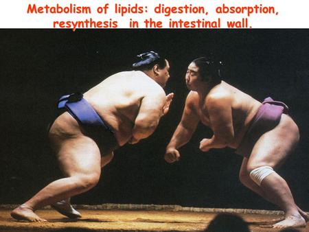 Metabolism of lipids: digestion, absorption, resynthesis in the intestinal wall. 1.