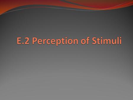 E.2 Perception of Stimuli