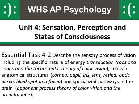 WHS AP Psychology Unit 4: Sensation, Perception and States of Consciousness Essential Task 4-2 :Describe the sensory process of vision including the specific.