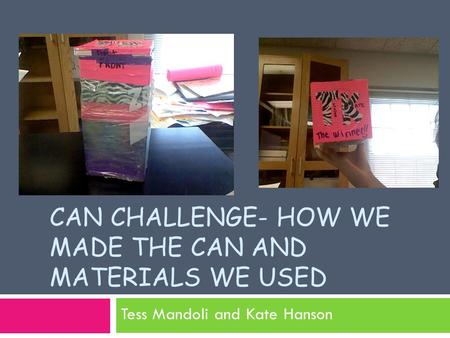 Can Challenge- How we made the can and materials we used