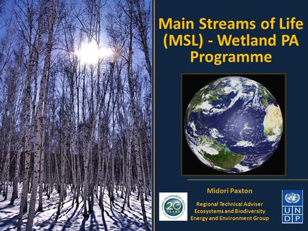 Main Streams of Life (MSL) - Wetland PA Programme Midori Paxton Regional Technical Adviser Ecosystems and Biodiversity Energy and Environment Group.