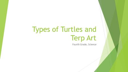 Types of Turtles and Terp Art Fourth Grade, Science.