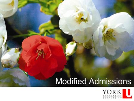 Modified Admissions. Across the system Categories Admissions information – documentation and deadlines To identify or not to identify… Support available.