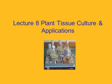 Lecture 8 Plant Tissue Culture & Applications. What is it? Tissue culture is the term used for “the process of growing cells artificially in the laboratory”
