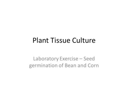 Laboratory Exercise – Seed germination of Bean and Corn