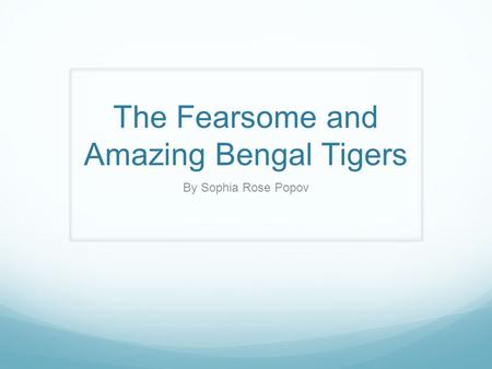 The Fearsome and Amazing Bengal Tigers By Sophia Rose Popov.